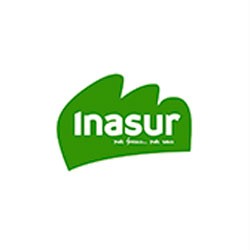 013 inasur